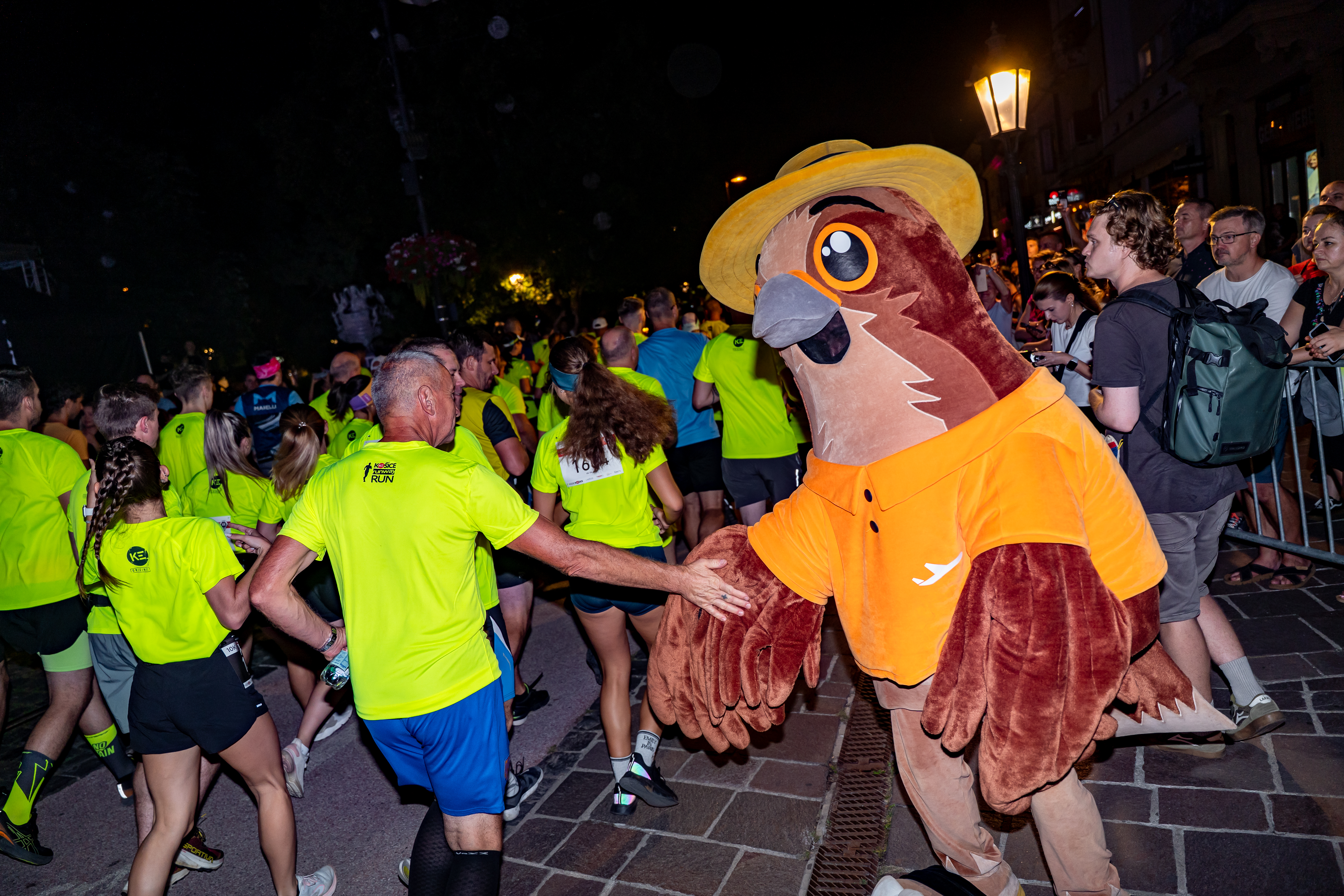 Night Run 2025-25